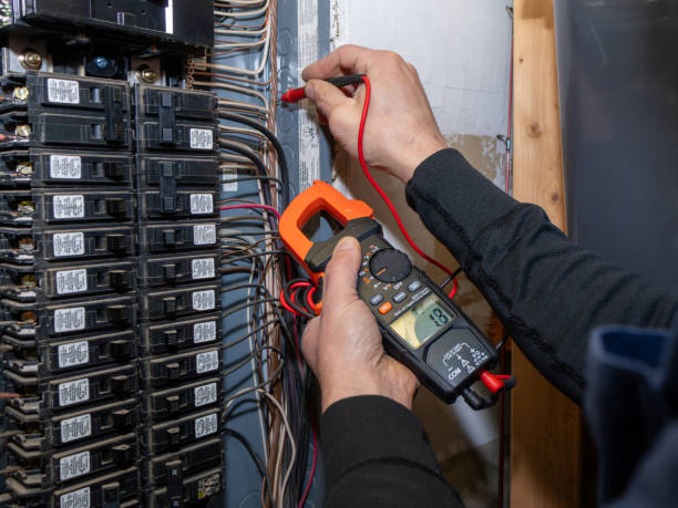 Best Electrical System Inspection  in Sconsin Dells, WI